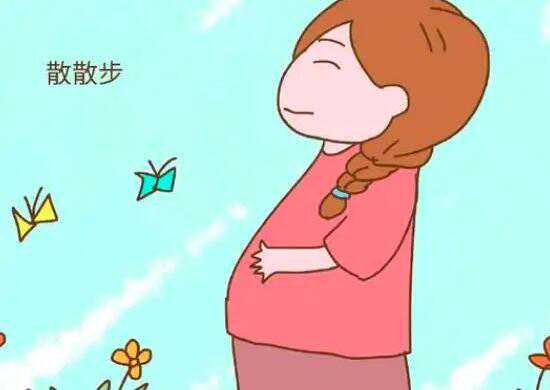 郑州合法代怀网,郑州供卵试管婴儿费用要多少钱？去郑州做供卵贵不贵