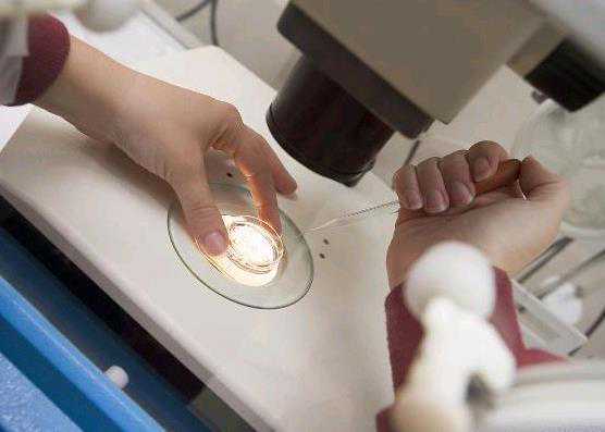 郑州代孕最新价格|梅州市人民医院生殖中心可以做供卵第三代试管婴儿吗？技