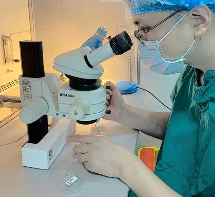 揭秘试管婴儿胚胎学家神秘又平凡的实验室工作